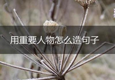 用重要人物怎么造句子
