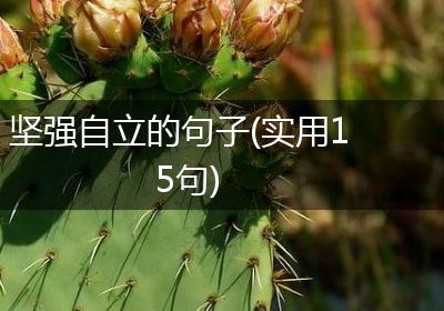 坚强自立的句子(实用15句)