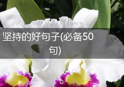 坚持的好句子(必备50句)