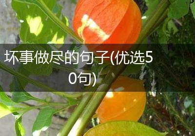 坏事做尽的句子(优选50句)