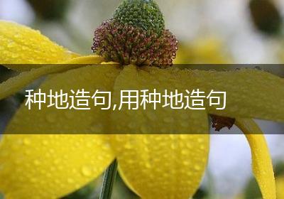 种地造句,用种地造句