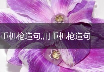 重机枪造句,用重机枪造句