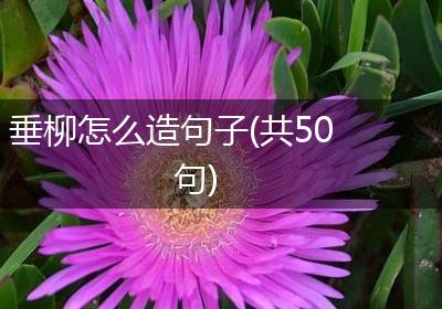垂柳怎么造句子(共50句)