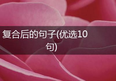 复合后的句子(优选10句)