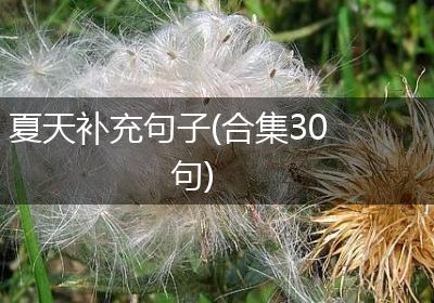 夏天补充句子(合集30句)