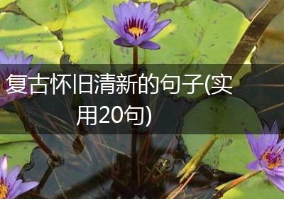 复古怀旧清新的句子(实用20句)