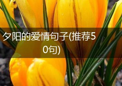 夕阳的爱情句子(推荐50句)