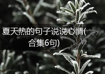 夏天热的句子说说心情(合集6句)