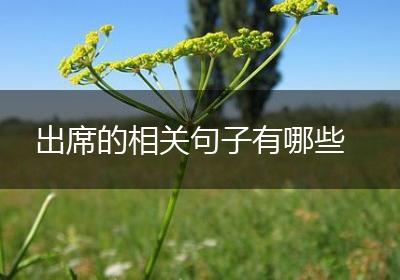出席的相关句子有哪些
