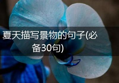 夏天描写景物的句子(必备30句)