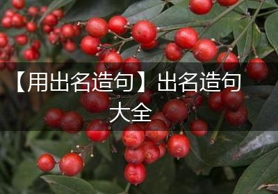 【用出名造句】出名造句大全