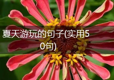 夏天游玩的句子(实用50句)