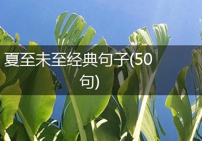夏至未至经典句子(50句)