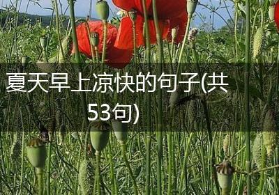 夏天早上凉快的句子(共53句)