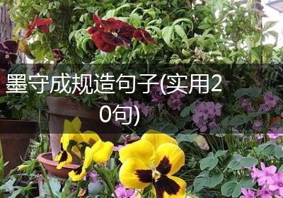 墨守成规造句子(实用20句)