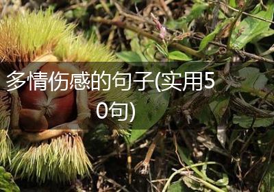多情伤感的句子(实用50句)