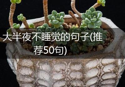 大半夜不睡觉的句子(推荐50句)