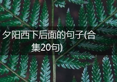 夕阳西下后面的句子(合集20句)