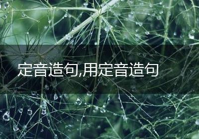 定音造句,用定音造句