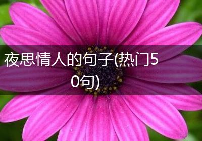 夜思情人的句子(热门50句)