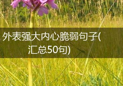外表强大内心脆弱句子(汇总50句)