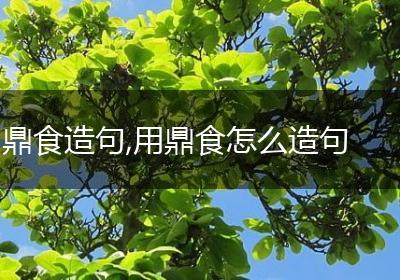 鼎食造句,用鼎食怎么造句