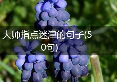 大师指点迷津的句子(50句)
