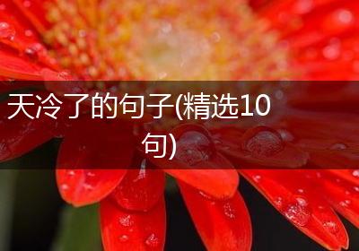 天冷了的句子(精选10句)