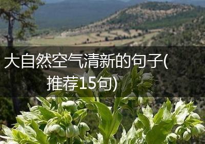 大自然空气清新的句子(推荐15句)