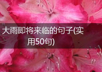 大雨即将来临的句子(实用50句)
