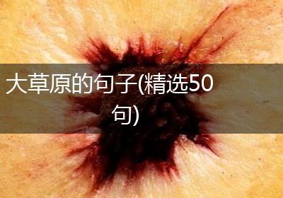 大草原的句子(精选50句)