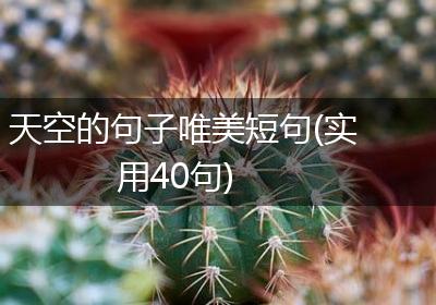 天空的句子唯美短句(实用40句)