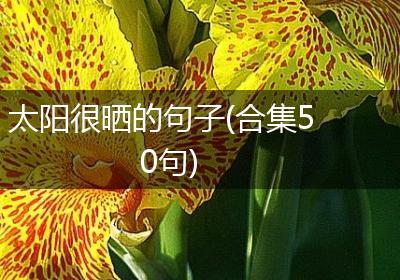 太阳很晒的句子(合集50句)