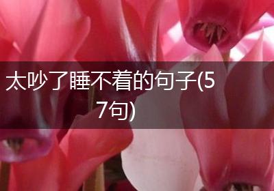 太吵了睡不着的句子(57句)