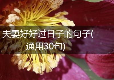 夫妻好好过日子的句子(通用30句)