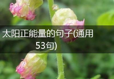 太阳正能量的句子(通用53句)