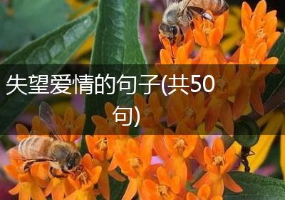 失望爱情的句子(共50句)