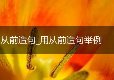 从前造句_用从前造句举例