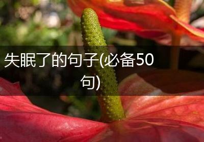 失眠了的句子(必备50句)