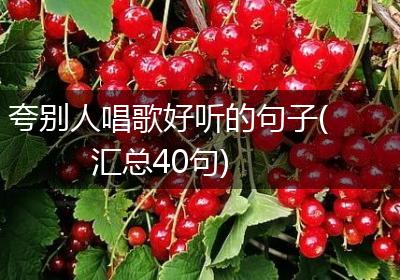 夸别人唱歌好听的句子(汇总40句)