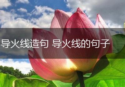 导火线造句 导火线的句子