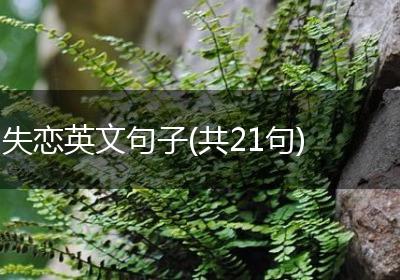 失恋英文句子(共21句)