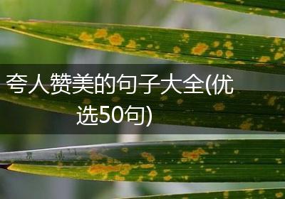 夸人赞美的句子大全(优选50句)