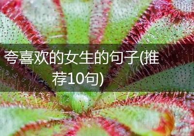 夸喜欢的女生的句子(推荐10句)