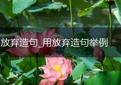 放弃造句_用放弃造句举例
