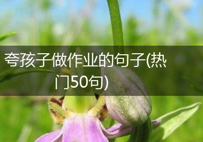 夸孩子做作业的句子(热门50句)