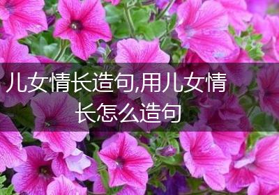 儿女情长造句,用儿女情长怎么造句