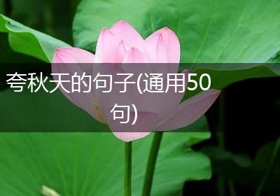 夸秋天的句子(通用50句)