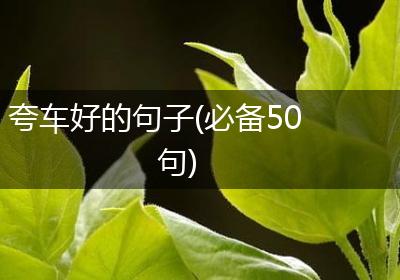 夸车好的句子(必备50句)