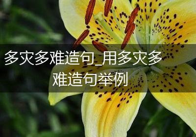 多灾多难造句_用多灾多难造句举例